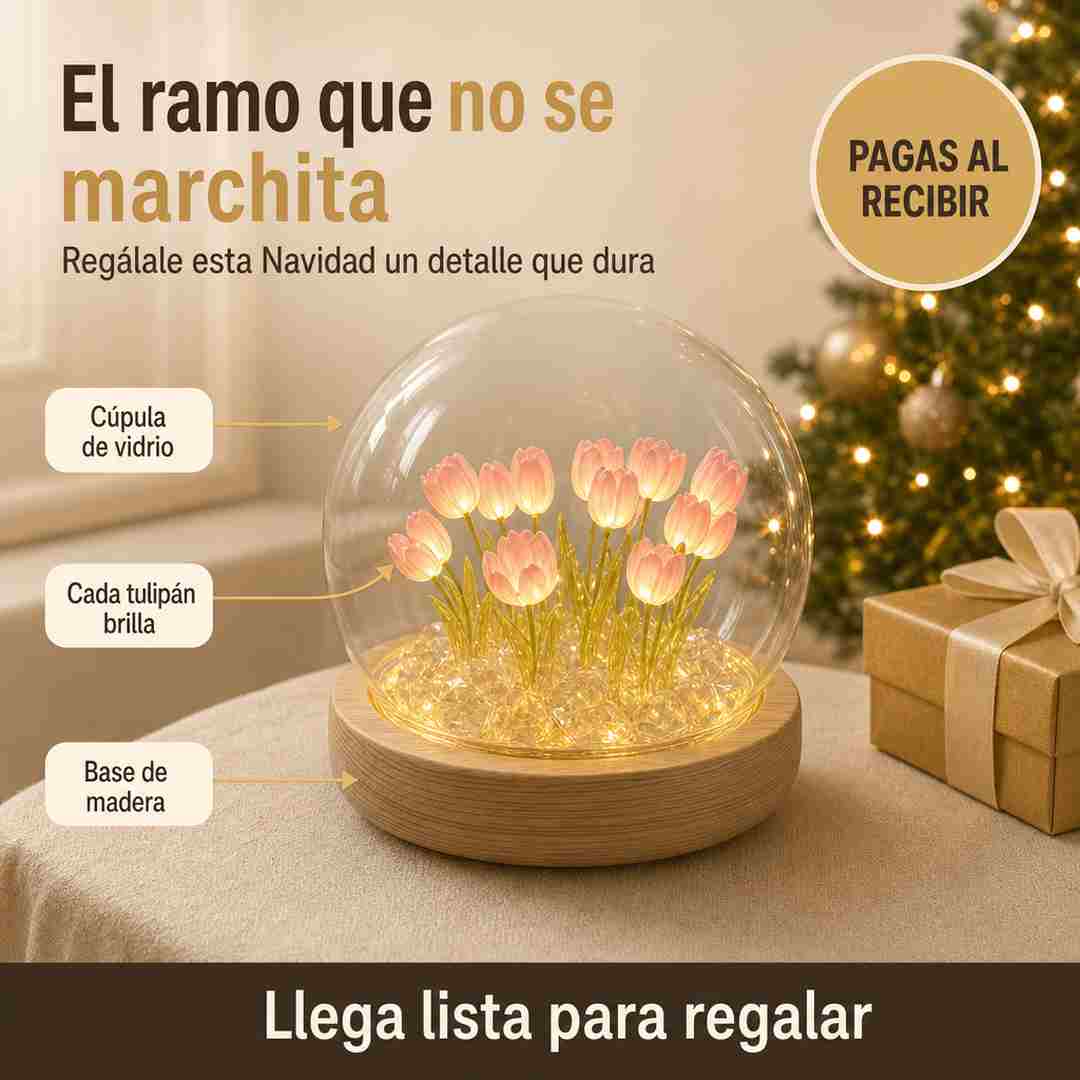 LUMA Lámpara de Tulipanes en Cúpula de Vidrio - Base de Madera - Pago al Recibir