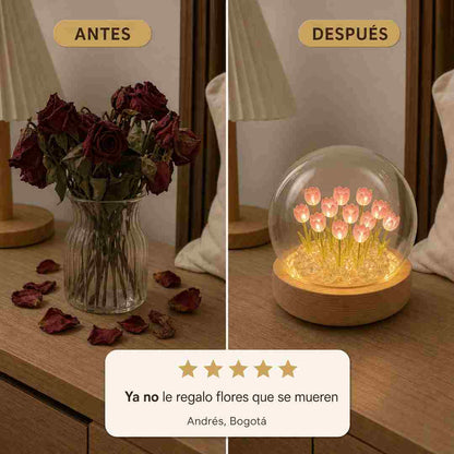 LUMA Lámpara de Tulipanes en Cúpula de Vidrio - Base de Madera - Pago al Recibir