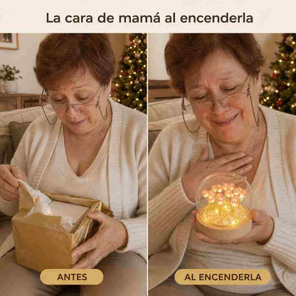 LUMA Lámpara de Tulipanes en Cúpula de Vidrio - Base de Madera - Pago al Recibir